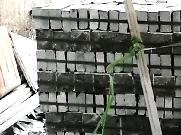 马蹄石