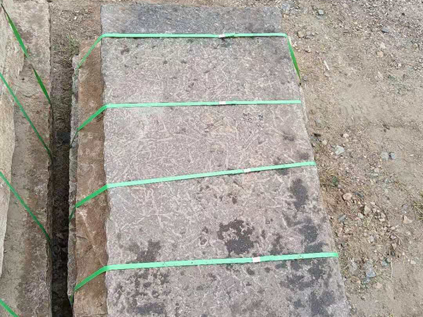 53.jpg